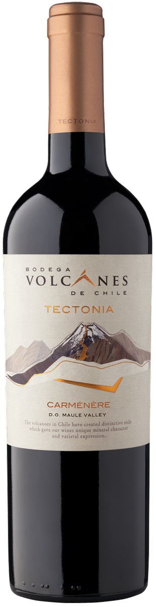 BODEGA VOLCANES de CHILE 