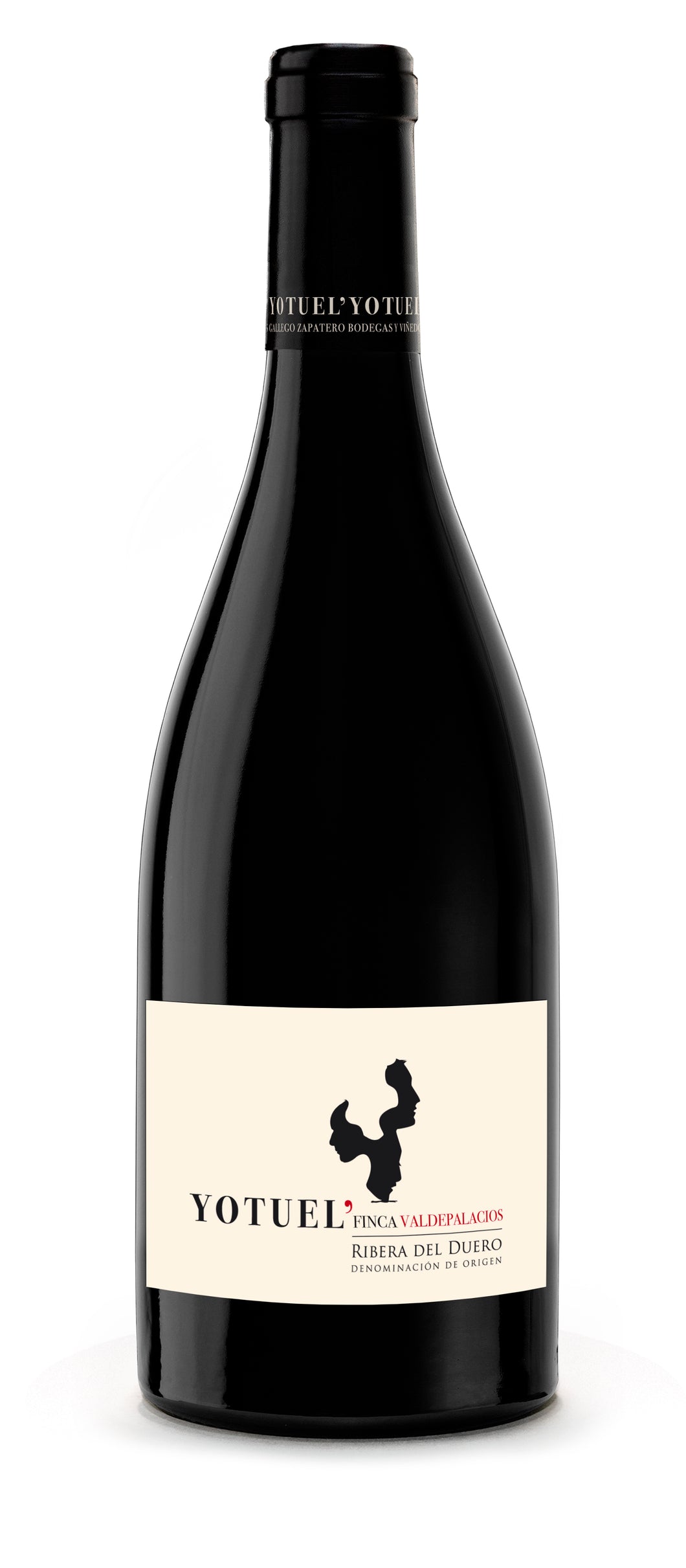 BODEGAS GALLEGO ZAPATERO Finca de Valdepalacios 2018   (750 ml)